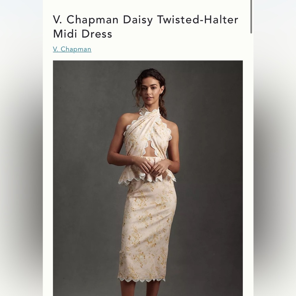 V. Chapman dress NWT